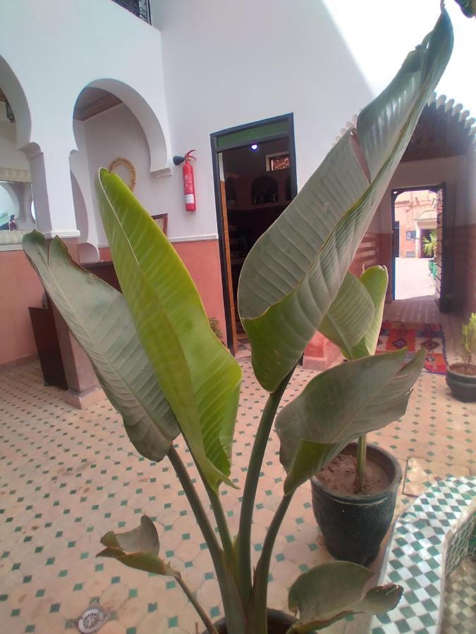 Riad 9 Derb El Bousnne Marrakesz Zewnętrze zdjęcie
